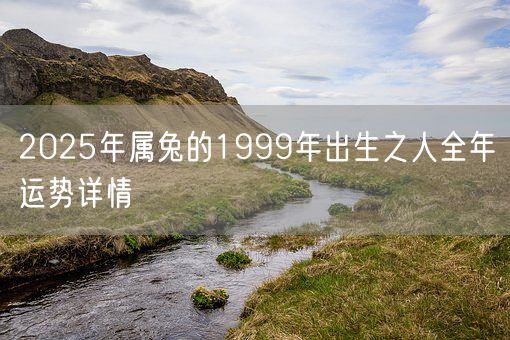 2025年属兔的1999年出生之人全年运势详情(图1)