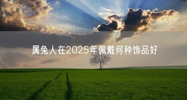 属兔人在2025年佩戴何种饰品好(图1)