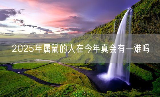 2025年属鼠的人在今年真会有一难吗(图1)