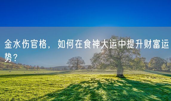 金水伤官格，如何在食神大运中提升财富运势？(图1)