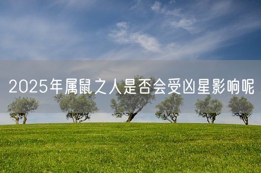 2025年属鼠之人是否会受凶星影响呢(图1)