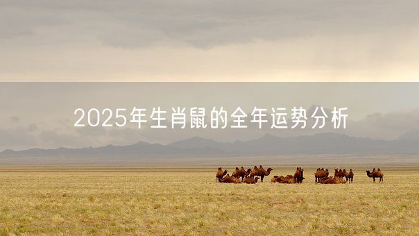 2025年生肖鼠的全年运势分析(图1)
