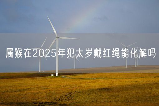 属猴在2025年犯太岁戴红绳能化解吗(图1)
