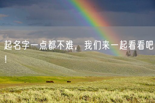 起名字一点都不难，我们来一起看看吧！(图1)