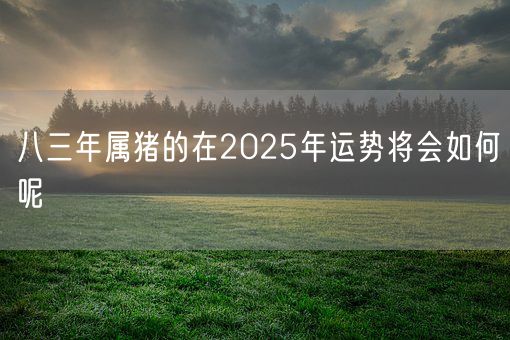 八三年属猪的在2025年运势将会如何呢(图1)
