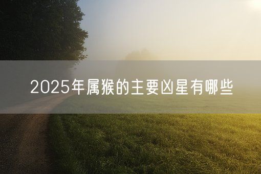 2025年属猴的主要凶星有哪些(图1)