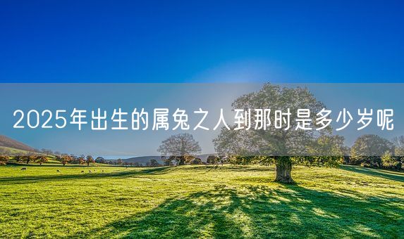 2025年出生的属兔之人到那时是多少岁呢(图1)