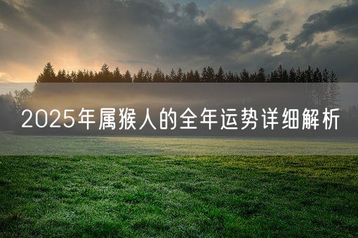 2025年属猴人的全年运势详细解析(图1)