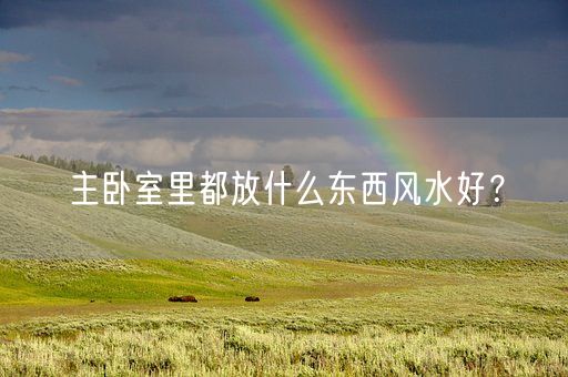 主卧室里都放什么东西风水好?(图1) 主卧室里都放什么东西风水好?(图1)