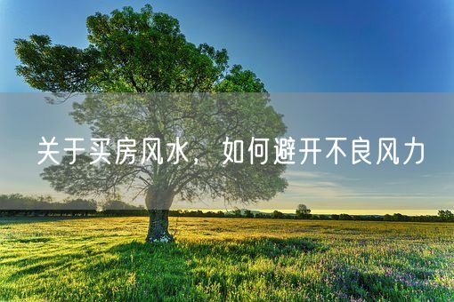 关于买房风水，如何避开不良风力(图1)