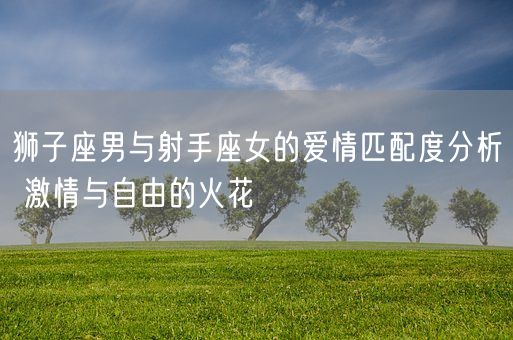 狮子座男与射手座女的爱情匹配度分析 激情与自由的火花(图1)