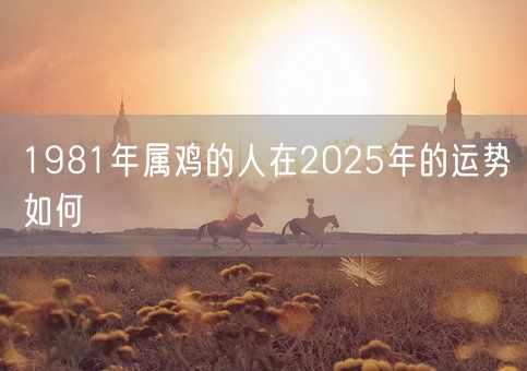 1981年属鸡的人在2025年的运势如何(图1)
