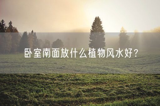 卧室南面放什么植物风水好？(图1)