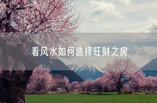 看风水如何选择旺财之房(图1)