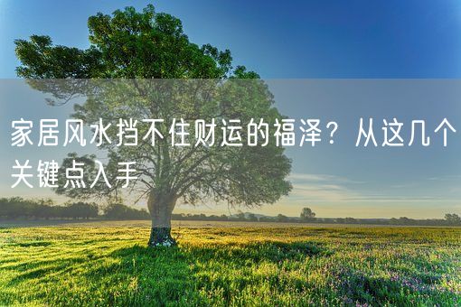 家居风水挡不住财运的福泽？从这几个关键点入手(图1)