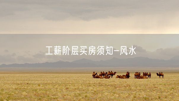 工薪阶层买房须知-风水(图1)