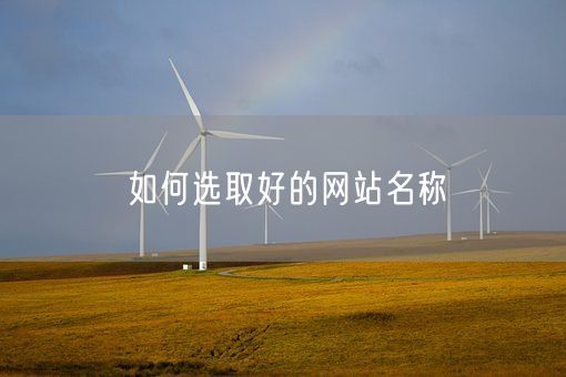 如何选取好的网站名称(图1)