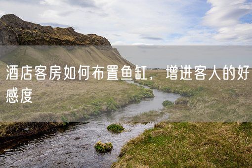 酒店客房如何布置鱼缸，增进客人的好感度(图1)