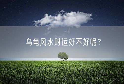 乌龟风水财运好不好呢？(图1)