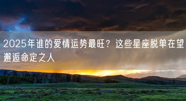 2025年谁的爱情运势最旺？这些星座脱单在望邂逅命定之人(图1)