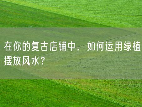 在你的复古店铺中，如何运用绿植摆放风水？(图1)