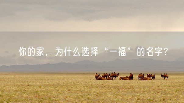 你的家，为什么选择“一福”的名字？(图1)