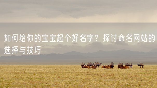 如何给你的宝宝起个好名字?探讨命名网站的选择与技巧(图1) 如何给你的宝宝起个好名字?探讨命名网站的选择与技巧(图1)