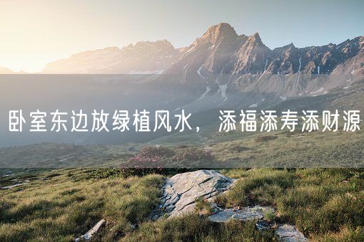 卧室东边放绿植风水，添福添寿添财源(图1)