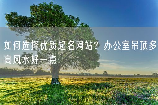 如何选择优质起名网站？办公室吊顶多高风水好一点(图1)