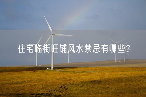 住宅临街旺铺风水禁忌有哪些?(图1) 住宅临街旺铺风水禁忌有哪些?(图1)