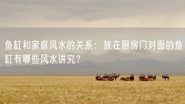 鱼缸和家庭风水的关系：放在厨房门对面的鱼缸有哪些风水讲究？(图1)