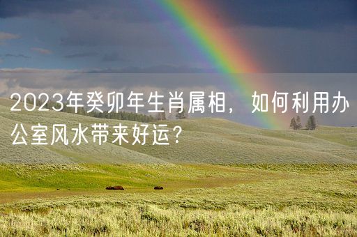 2023年癸卯年生肖属相，如何利用办公室风水带来好运？(图1)