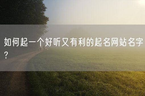 如何起一个好听又有利的起名网站名字？(图1)