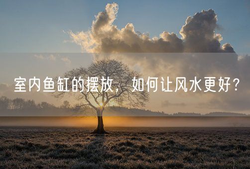 室内鱼缸的摆放，如何让风水更好？(图1)