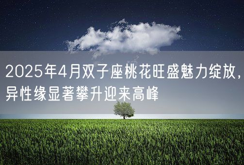 2025年4月双子座桃花旺盛魅力绽放，异性缘显著攀升迎来高峰(图1)