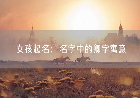 女孩起名:名字中的卿字寓意(图1) 女孩起名:名字中的卿字寓意(图1)