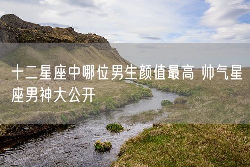 十二星座中哪位男生颜值最高 帅气星座男神大公开(图1)