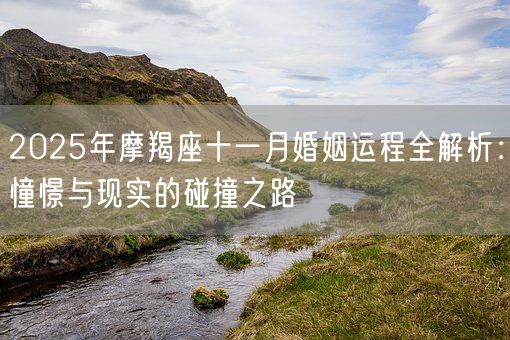 2025年摩羯座十一月婚姻运程全解析：憧憬与现实的碰撞之路(图1)