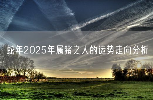 蛇年2025年属猪之人的运势走向分析(图1)
