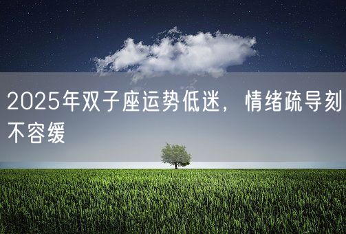 2025年双子座运势低迷，情绪疏导刻不容缓(图1)