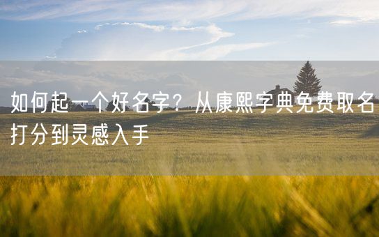 如何起一个好名字?从康熙字典免费取名打分到灵感入手(图1) 如何起一个好名字?从康熙字典免费取名打分到灵感入手(图1)