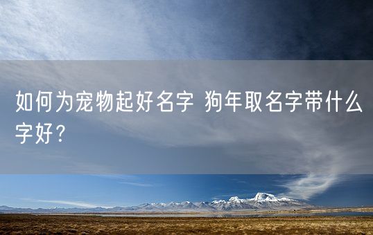 如何为宠物起好名字 狗年取名字带什么字好?(图1) 如何为宠物起好名字 狗年取名字带什么字好?(图1)