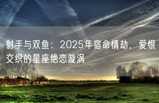 射手与双鱼：2025年宿命情劫，爱恨交织的星座绝恋漩涡(图1)