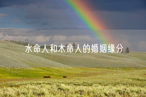 水命人和木命人的婚姻缘分(图1)