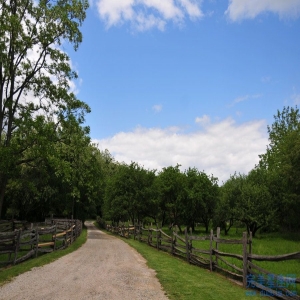 非常吸引男人的生肖女人有哪些