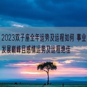 2023双子座全年运势及运程如何 事业发展巅峰且感情运势及运程绝佳