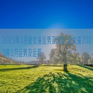 2023年3月处女座运势及运程 处女座2023年3月运势及运程
