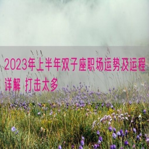 2023年上半年双子座职场运势及运程详解 打击太多