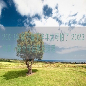 2023年双子座下半年太可怕了 2023年双子座全年运势及运程