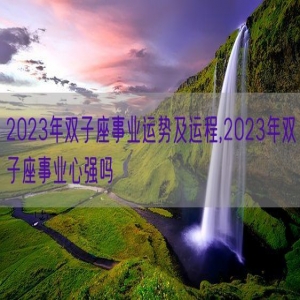 2023年双子座事业运势及运程,2023年双子座事业心强吗